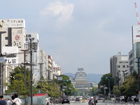 100337_01.jpg