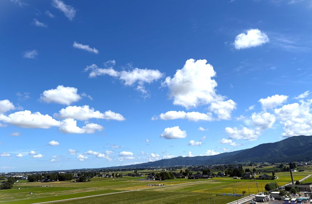 立位撮影が可能なCT （Canonブースにて）